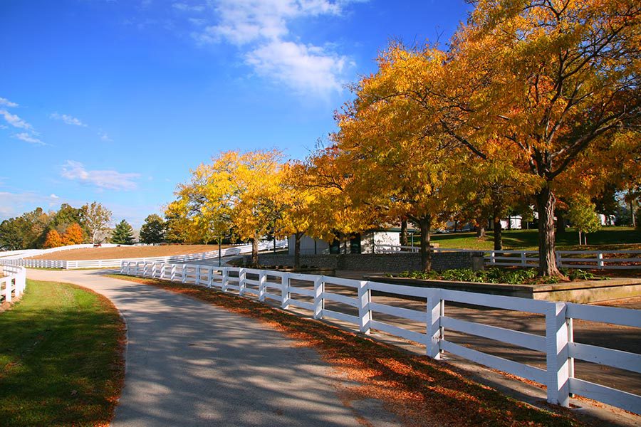 Independence, KY Insurance - Beautiful Walking Path Bordered by White Fences With Fall Trees Dropping Leaves on the Grass, Bright Blue Sky Overhead
